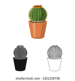 Vector illustration of cactus and pot symbol. Set of cactus and cacti stock vector illustration.