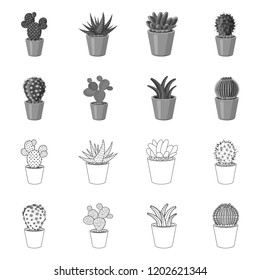 Vector illustration of cactus and pot symbol. Set of cactus and cacti stock symbol for web.