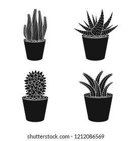 Vector illustration of cactus and pot symbol. Collection of cactus and cacti stock symbol for web.