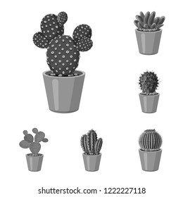 Vector illustration of cactus and pot symbol. Collection of cactus and cacti stock symbol for web.