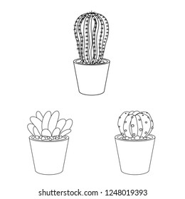 Vector illustration of cactus and pot symbol. Set of cactus and cacti stock vector illustration.