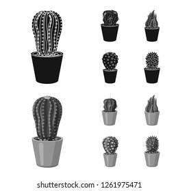 Vector illustration of cactus and pot symbol. Collection of cactus and cacti vector icon for stock.