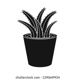 Vector illustration of cactus and pot symbol. Set of cactus and cacti stock symbol for web.