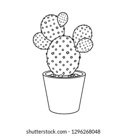 Vector illustration of cactus and pot symbol. Collection of cactus and cacti stock symbol for web.