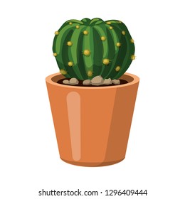 Vector illustration of cactus and pot symbol. Collection of cactus and cacti stock symbol for web.