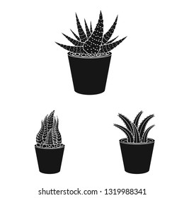 Vector illustration of cactus and pot symbol. Set of cactus and cacti vector icon for stock.