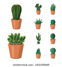 Vector illustration of cactus and pot symbol. Collection of cactus and cacti stock symbol for web.