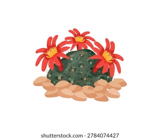 Vector illustration of a cactus with red flowers and stones.
