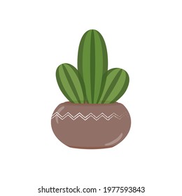 Vector illustration of a cactus in a round ceramic pot with a white pattern on an isolated background. Concept for floristic brochures, advertising, typography
