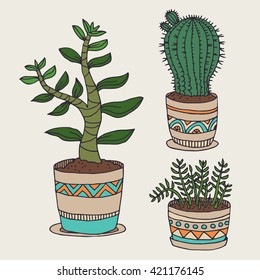 Vector illustration with cactus and succulent. Colorful drawing. Vector EPS10 collection set with plants in pot. Decorative element for your floral design.