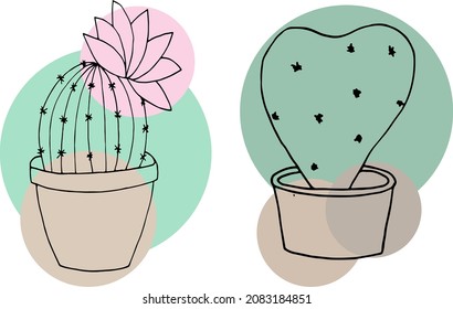 Vector illustration of cactus and succulent house plants. Use as an icon or logo