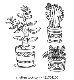 Vector illustration with cactus and succulent. Outline drawing. Vector EPS10 collection set with plants in pot. Decorative element for your design and coloring book.