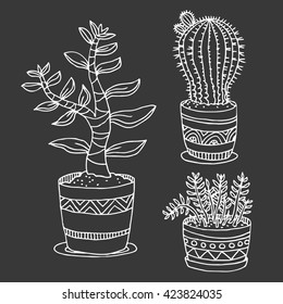 Vector illustration with cactus and succulent. Outline drawing. Vector EPS10 collection set with plants in pot. Decorative element for your design, white on dark grey background.