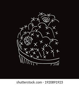 Vector Illustration of Cactus Succulent Plant in Black and White Background and Line Art Design