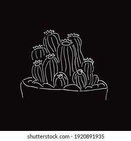 Vector Illustration of Cactus Succulent Plant in Black and White Background and Line Art Design