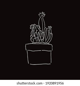 Vector Illustration of Cactus Succulent Plant in Black and White Background and Line Art Design