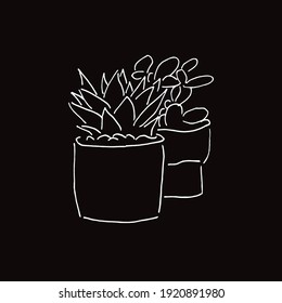 Vector Illustration of Cactus Succulent Plant in Black and White Background and Line Art Design