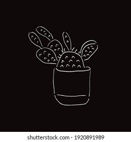 Vector Illustration of Cactus Succulent Plant in Black and White Background and Line Art Design