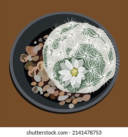 Vector illustration of a cactus with white flowers in a pot on a brown background.