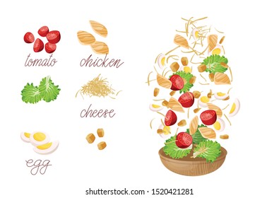 Vector illustration of Caesar salad ingredients. Hand drawn colorful illustration