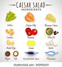 Vector illustration. Caesar Salad. Ingredients