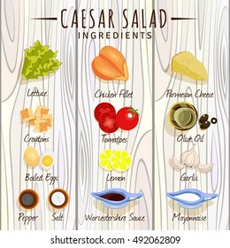 Vector illustration. Caesar Salad. Ingredients