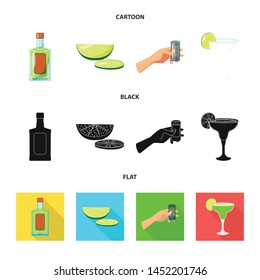 Vector illustration of cafe and Latin icon. Collection of cafe and national stock vector illustration.