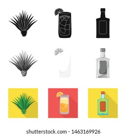 Vector illustration of cafe and Latin logo. Collection of cafe and national vector icon for stock.