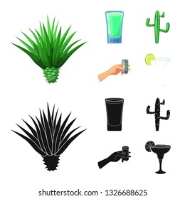 Vector illustration of cafe and Latin sign. Set of cafe and national vector icon for stock.