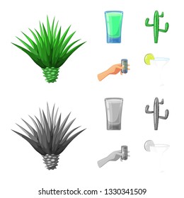 Vector illustration of cafe and Latin sign. Collection of cafe and national vector icon for stock.