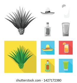 Vector illustration of cafe and Latin sign. Set of cafe and national stock vector illustration.