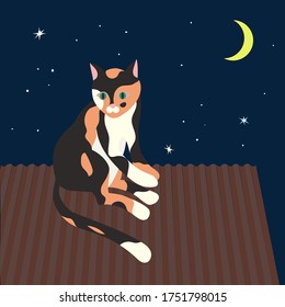 Vector illustration of calico cat sitting on the roof on night sky background