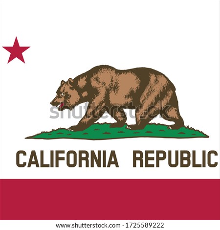 vector illustration of California flag