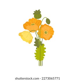 Vector illustration of California state yellow and orange poppies. Flat vector bouquets of poppies.