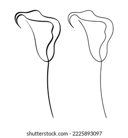 ilustración vectorial de las flores de la calla. plantas trazadas en una línea