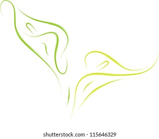 Vector Illustration Of Calla Lily Flower