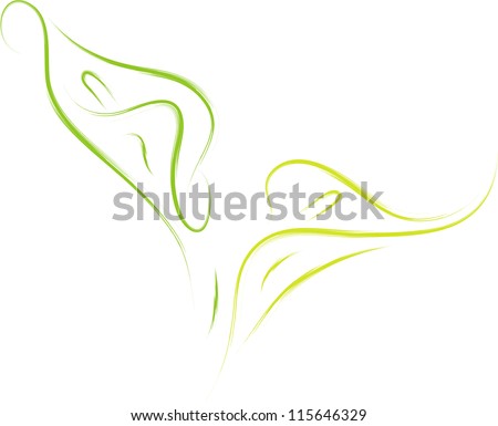 Vector Illustration Calla Lily Flower Stock Vector (Royalty Free