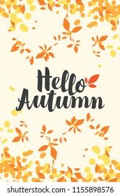 Vector illustration with calligraphic inscription Hello Autumn and colorful autumn leaves. Can be used for flyers, banners or posters