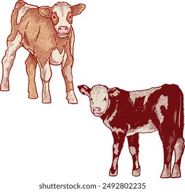 Vector Illustration a calves clipart