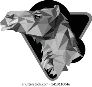 the vector illustration of a camel