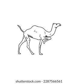 ilustración vectorial del animal camello