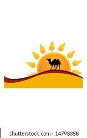 vector illustration of a camel in the desert