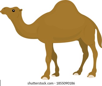 Vector illustration of a camel emoticon