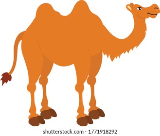 Vector Illustration of Camel isolated on white background. Clipart Camel