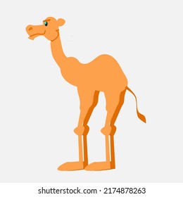 Vector illustration of a camel isolated on white background. Intended for children's books.