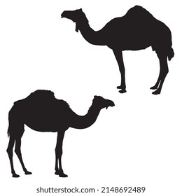Vector illustration of camel silhouette
