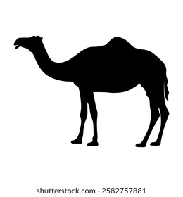 Vector illustration of a camel silhouette