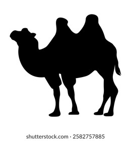 Vector illustration of a camel silhouette