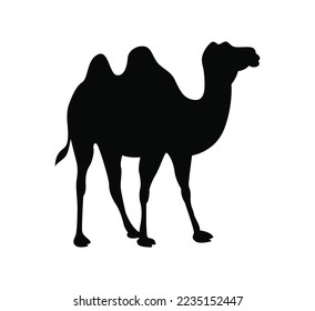 Vector illustration of camel silhouette icon. standing camel creative design