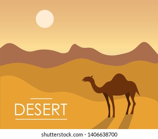 Vector illustration of a camel in the sunny desert. One-humped camel in the desert with sand dunes. Vector illustration in flat style.